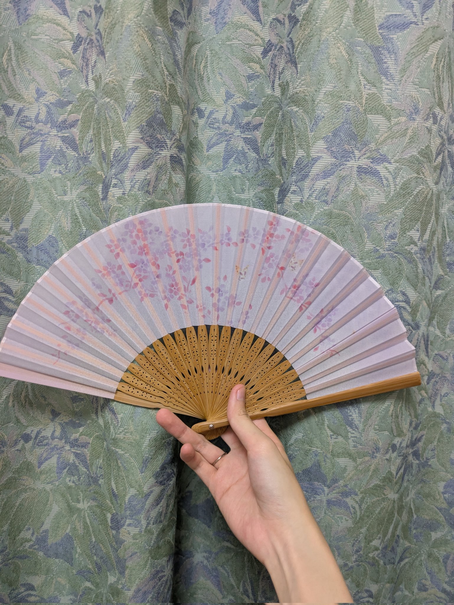 琴葉ページ Amazon.com: KIYA Edelweiss Cooking Scissors, Kitchen