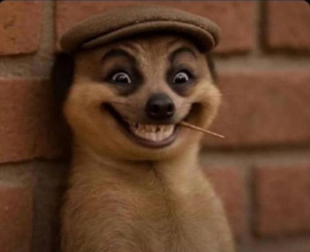 They are serving food in SDA churches, please don't suffer.
Just walk in and sing one painful song.
They won't doubt you and you will eat food