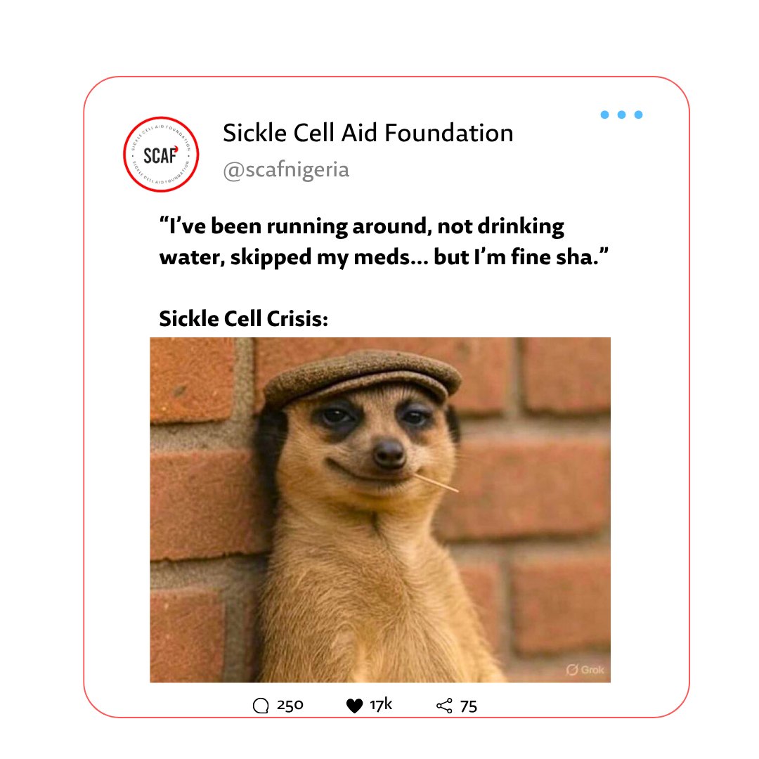 SCAF_Nigeria's tweet photo. The meerkat trend is funny — but the message hits hard. 😅💥
Because real talk?
Your body isn’t a robot. It needs care. And most importantly KNOW YOUR GENOTYPE 
#sicklecell https://t.co/IsIW6L4RIE