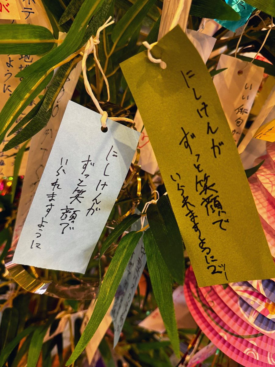 netchinpira's tweet image. 