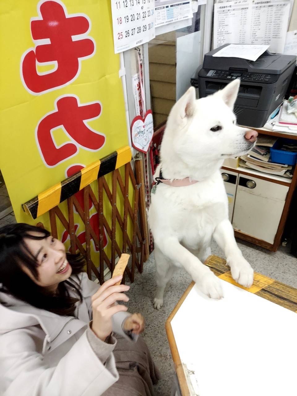 梅子() - Cerca / X