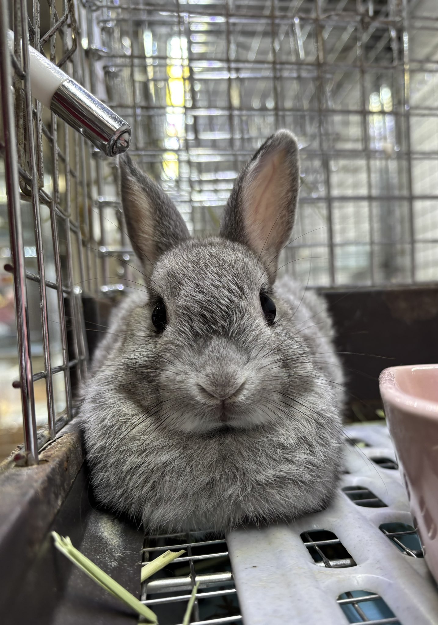 Bunnyさんへ imgrc0076878151.jpg