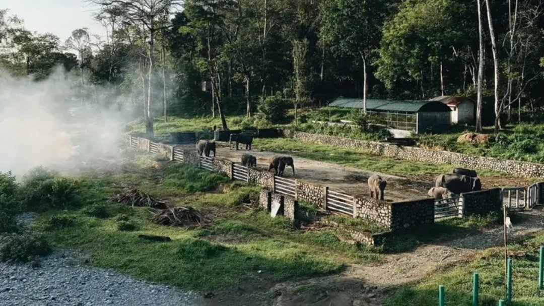 ㅤ
𝗩𝗼𝗹𝘂𝗻𝘁𝗲𝗲𝗿 𝗣𝗮𝗻𝗱𝗮 𝗠𝗼𝗯𝗶𝗹𝗲ㅡ Edukasi daring bersama salah satu 𝗠𝗮𝗵𝗼𝘂𝘁 𝗚𝗮𝗷𝗮𝗵, 𝗝𝗼𝗻𝗶 𝗥𝗮𝗵𝗺𝗮𝗻 dari 𝗘𝗸𝗼𝘄𝗶𝘀𝗮𝘁𝗮 𝗧𝗮𝗻𝗴𝗸𝗮𝗵𝗮𝗻, 𝗠𝗲𝗱𝗮𝗻, 𝗦𝘂𝗺𝗮𝘁𝗲𝗿𝗮 𝗨𝘁𝗮𝗿𝗮.
ㅤ