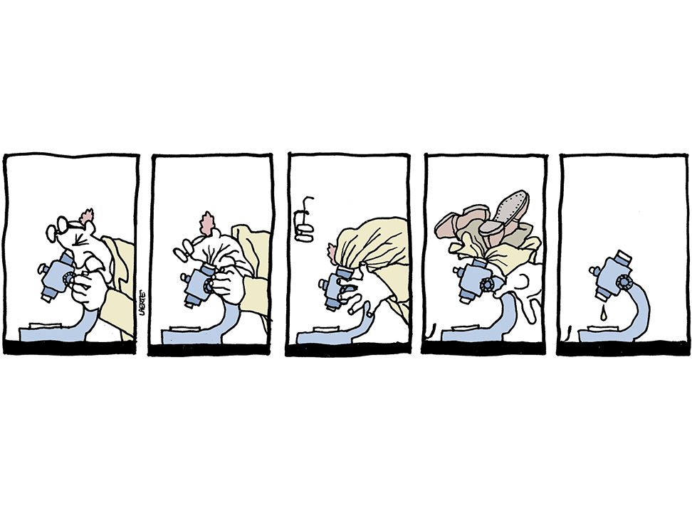 Saiu na Folha <a href="/folha/">Folha de S.Paulo</a>