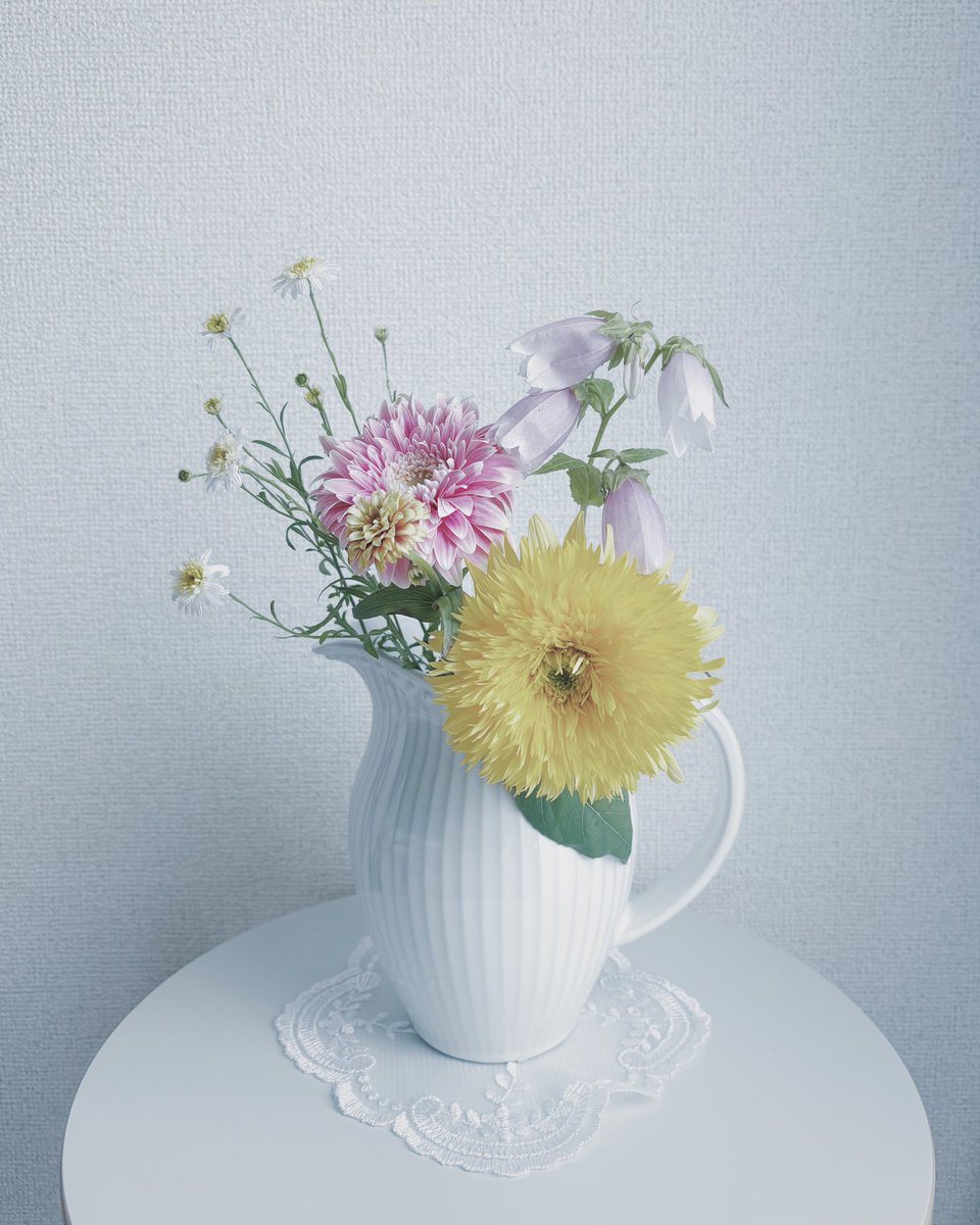 夏に誘われて普段選ばない鮮やかな色の花を