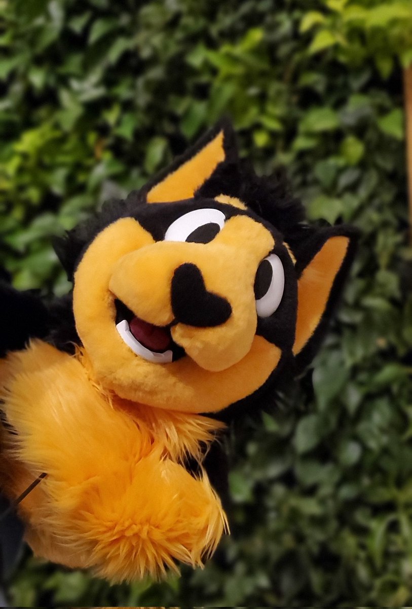 Kii's Creatures tweet media