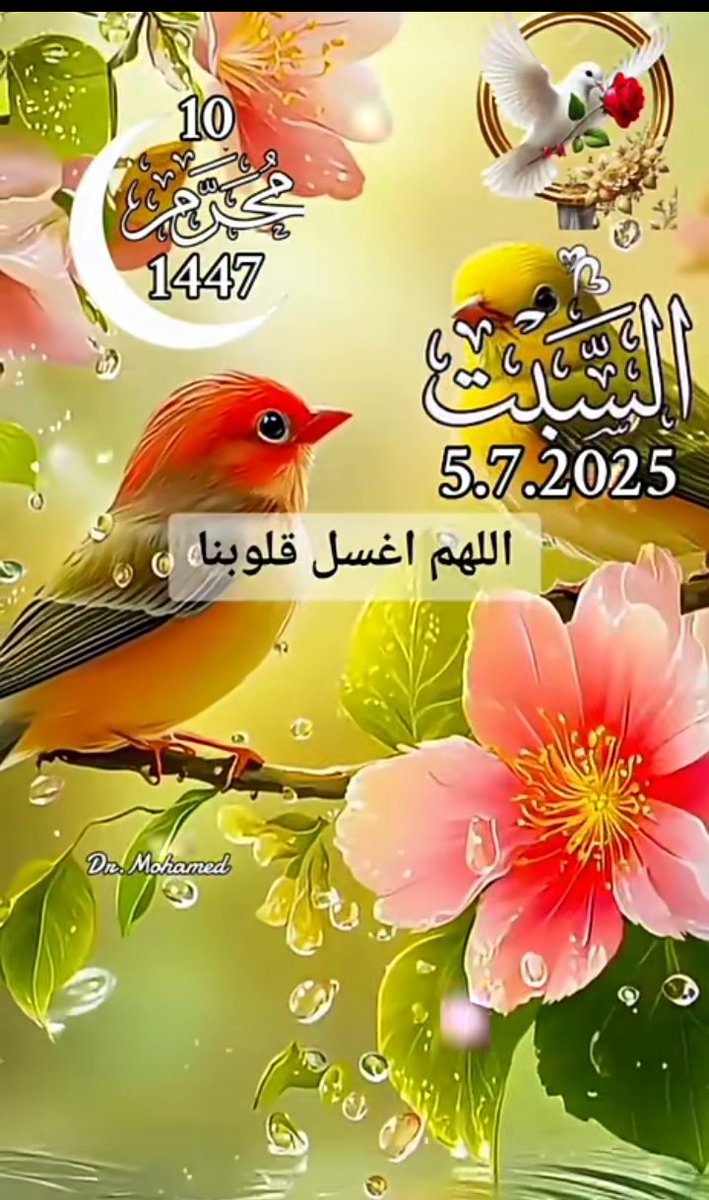 ✨💫🦋🩷🩵🎶🐎🐎