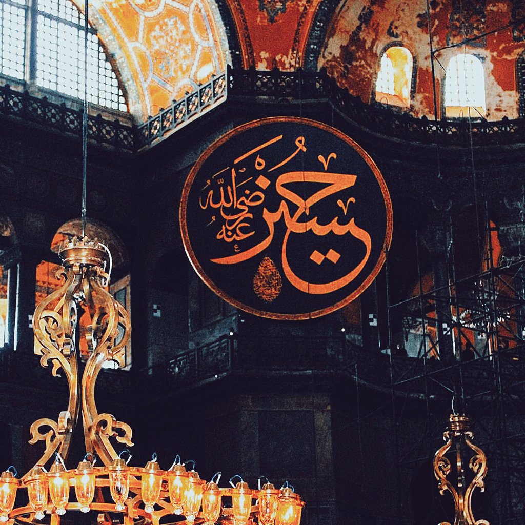 Hard facts for the crypto-Nasibis pretending to be Sunnis:

• Imam al-Hussain (AS) is not only superior but also the master of Muwaiyah (RA) and the wretched Yazid.

• Loving al-Hussain = Allah loves you.

• Hussain's brother, namely Hassan is among the rightly guided Caliphs.