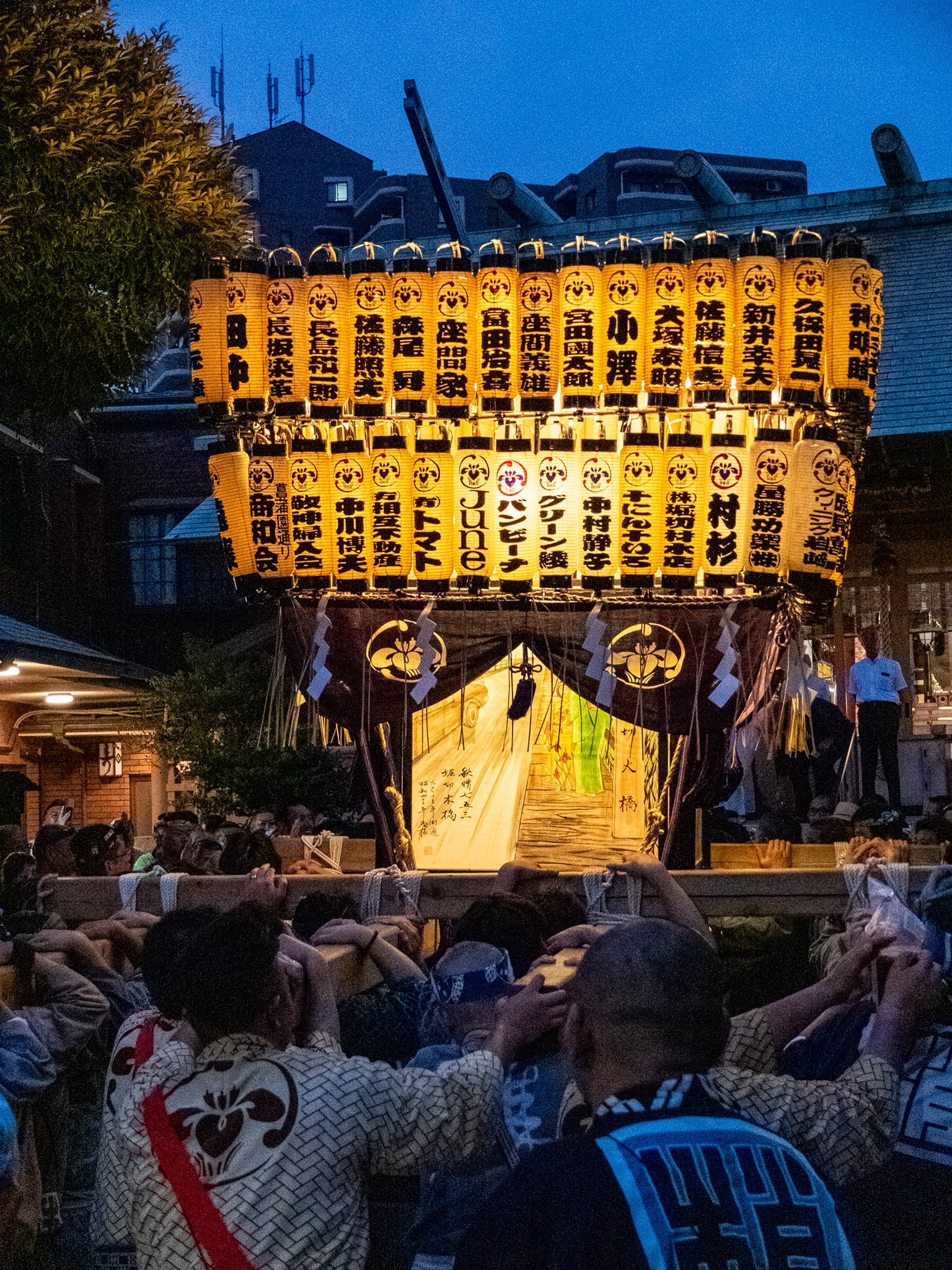 8K 3D VR180 ] 2024 三社祭 (2/4) 町内神輿連合渡御 Many town