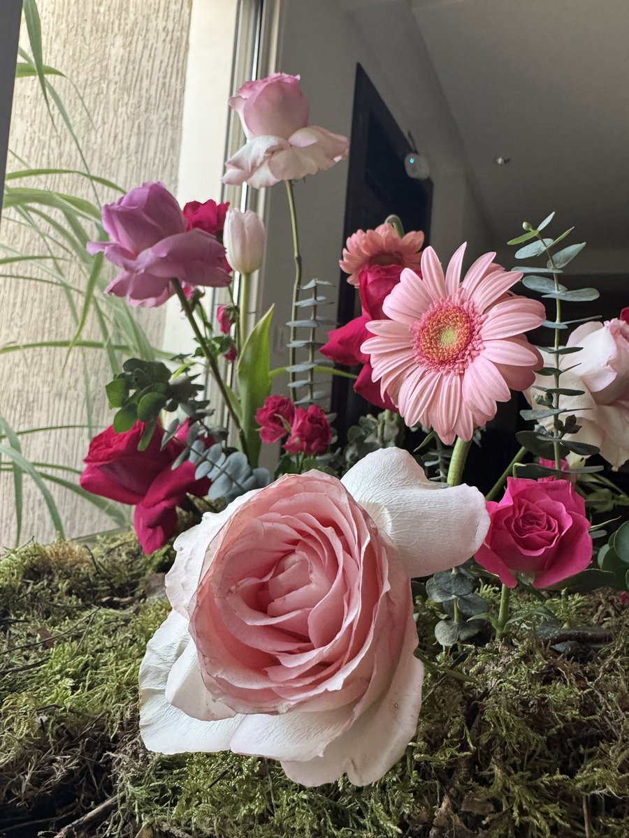 foz_sh1's tweet image. #ููู
#ุนุงุดูุฑุงุก
ูู ููู
ูุตุฑ ุงููู ููู ู
ูุณู ุนููู ุงูุณูุงู
ุนูู ุงูุทุงุบูู ูุฑุนูู ุจุนุฏ ุงู ุชููู ุนูู ุงููู ุุ ูุงู
ุฑูุง ุงูุฑุณูู ู
ุญู
ุฏ ุตู ุงููู ุนููู ูุณูู
ุจุตูุงู
ู ุ ูุดุฏุฎู #ุงูุดูุนู โฆ!!!