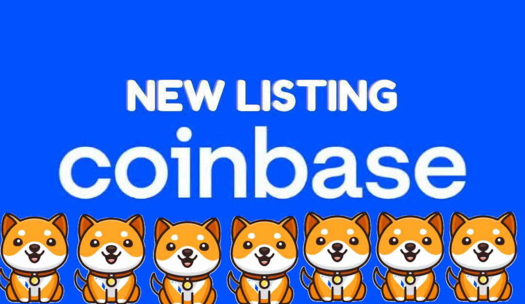 WhaleSatoshi's tweet image. It's time for @coinbase ❗️❗️❗️❗️

#BabyDoge listing 🔥🔥🔥🔥

🔜$0.0002 💹💹💹💹💹💹

#Coinbase #BabyDogeCoin