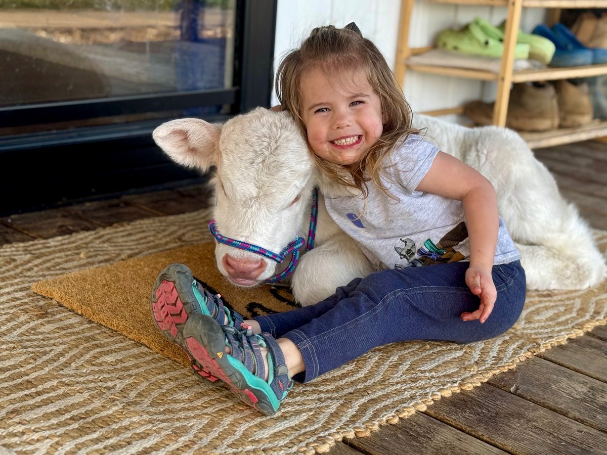 KentuckyLiving's tweet image. Irah Kay Hill hugs her calf,
Cotton, on the front porch of
the family home in Paint Lick.
Photo by mom, Aleshia Hill,
a consumer-member of Blue Grass Energy
. #snapshotsaturday Send us your snaps! ow.ly/qyfM50WjfnM