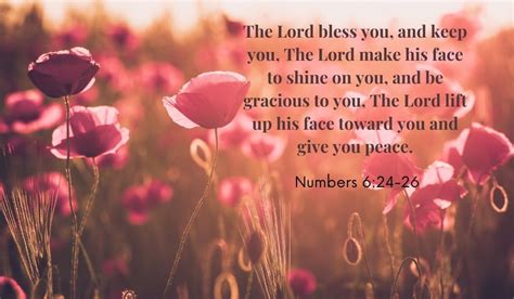 Good morning, everyone. Have a blessed day.  🇺🇲 🙏