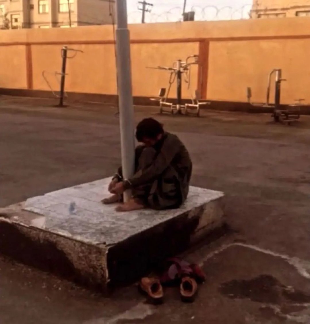 لب تشنه حسین ۱۴۰۰ سال پیش رو به دروغ شنیدیم
 
ولی  خدانور رو به چشم دیدیم 😔
#ریدم_تو_اسلام