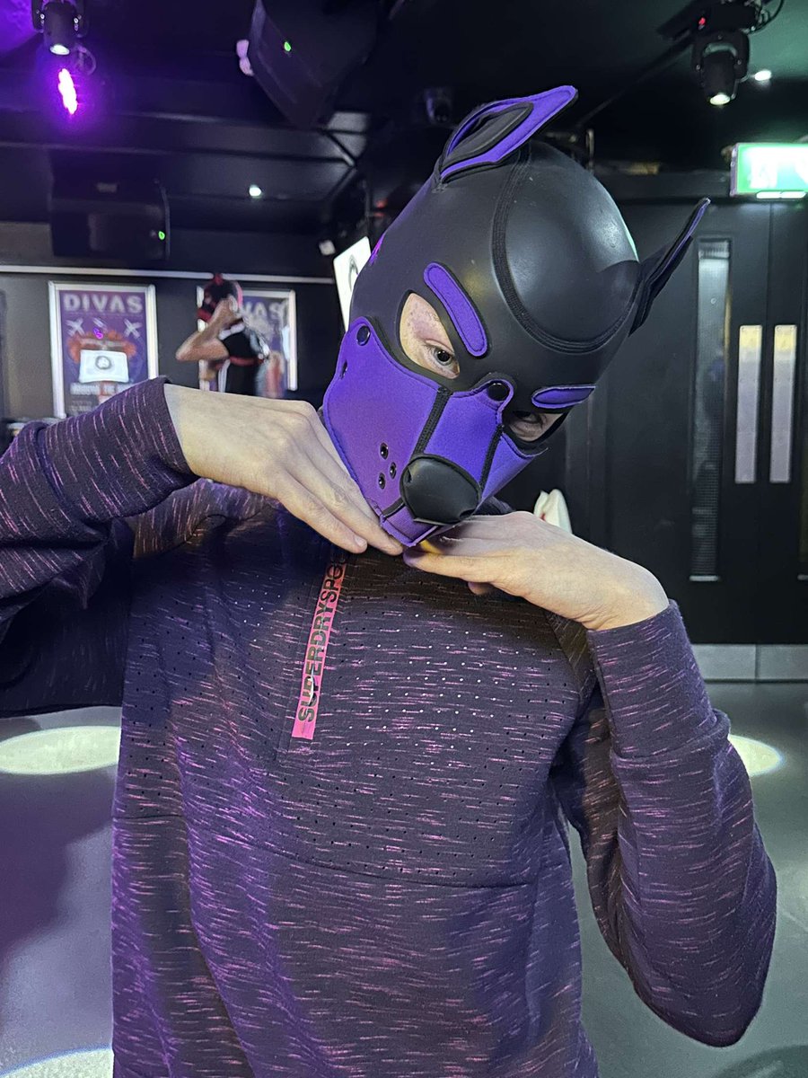 The 🟣 dawg returns. I missed being at Kennel Klub. I shall be at collared tonight with a new colour fit 💜💜