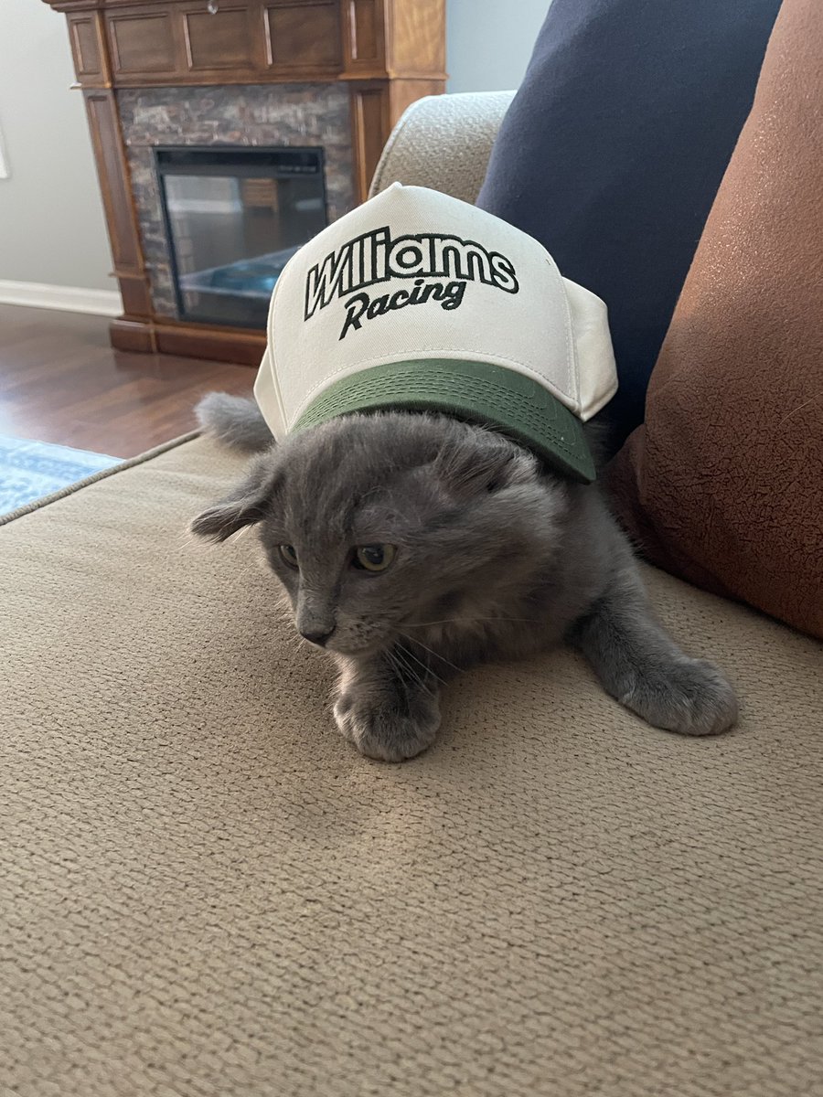 Williams fans come in all shapes and sizes @WilliamsRacing