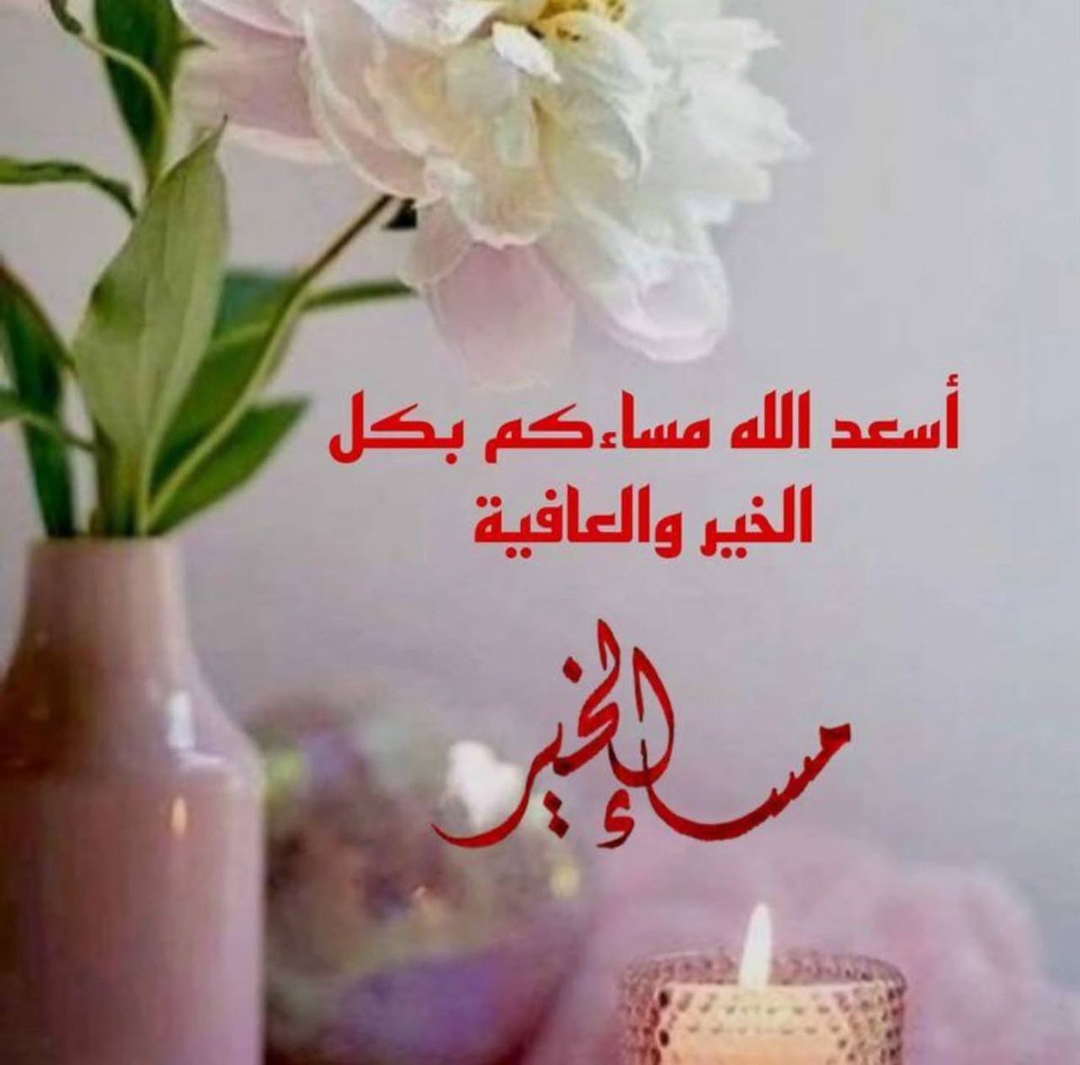 مساء الخير والسعادة وراحة البال .. لكل من يزرعون الخير في ڪل طريق يسلكونه .

#مساء_الخير_والسعادة_للجميع