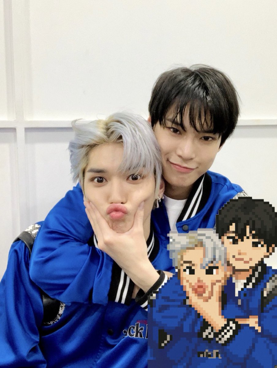 소나무 tweet media