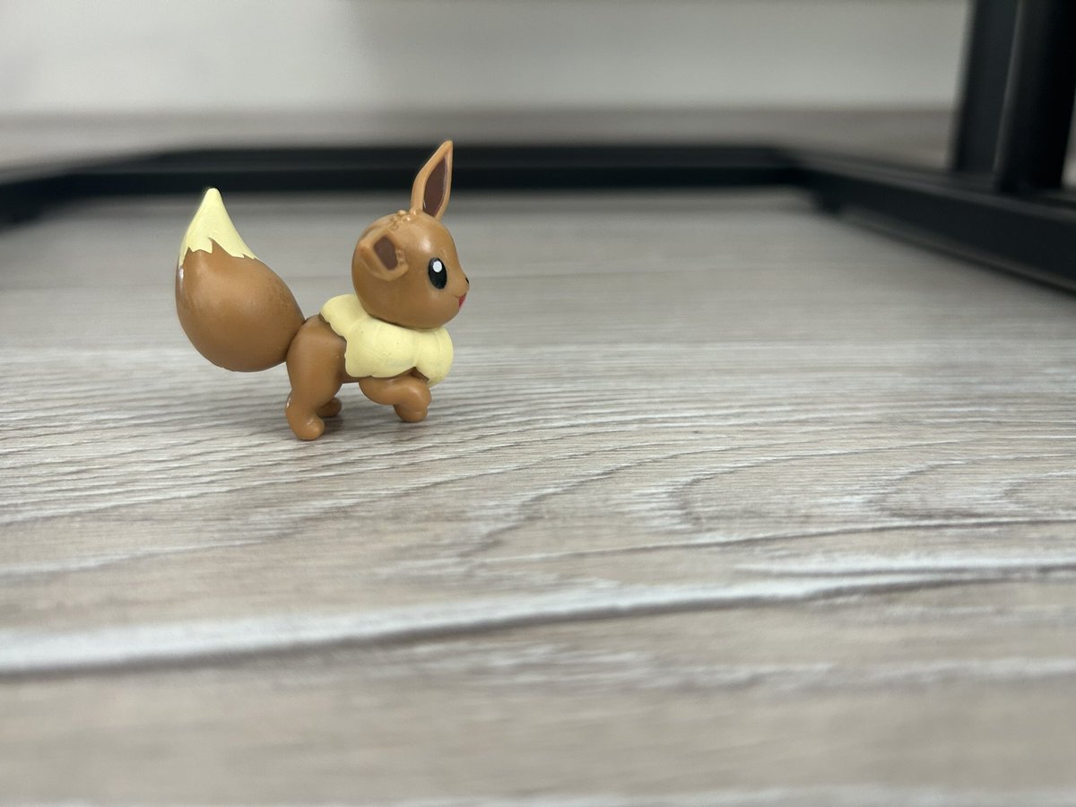 #PokemonGOCommunityDay #Eevee #EeveeCommunityDay #Pokemon #PokemonFigure
