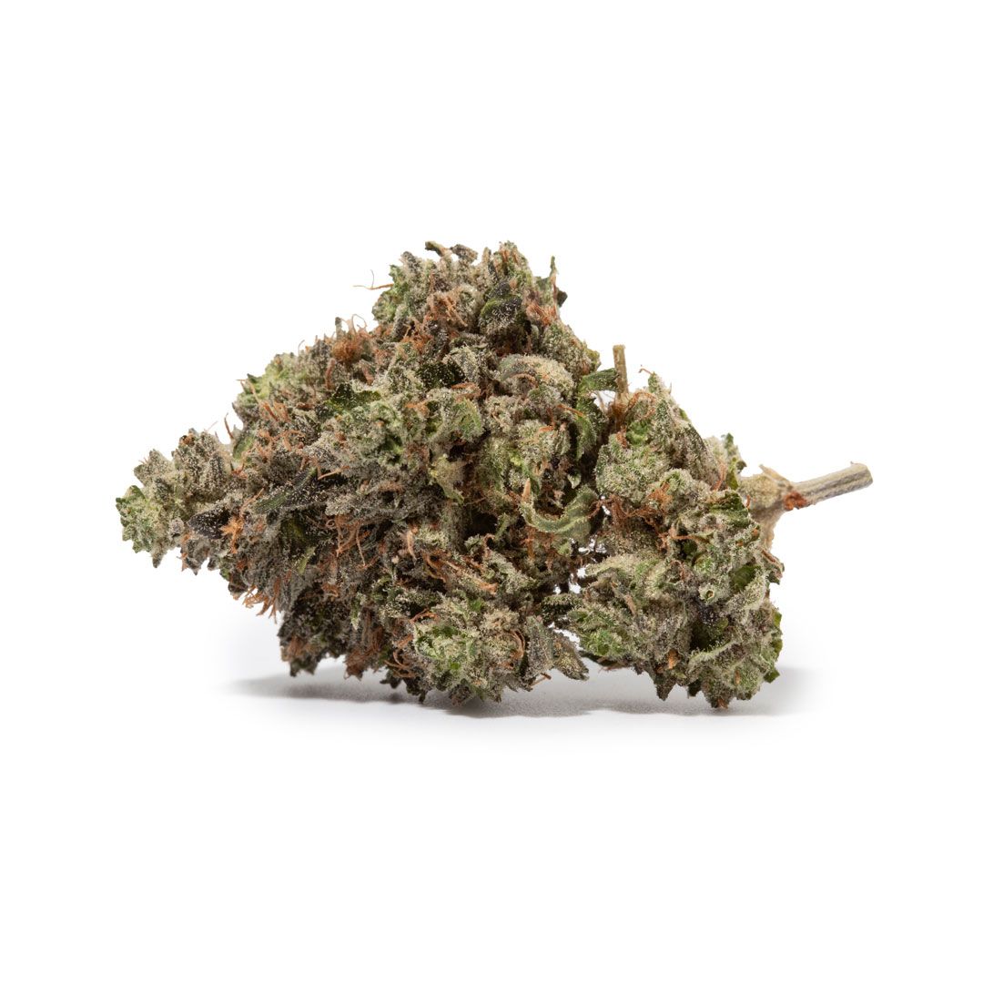 🪙POSTED BY CANADIAN CANNABIS FLOWERS🪙

Visual Characteristics: All Gas OG buds are typically dense and chunky, showcasing a classic indica structure. The nugs are often a vibrant green color, interspersed with bright orange pistils. A thick layer of trichomes covers the