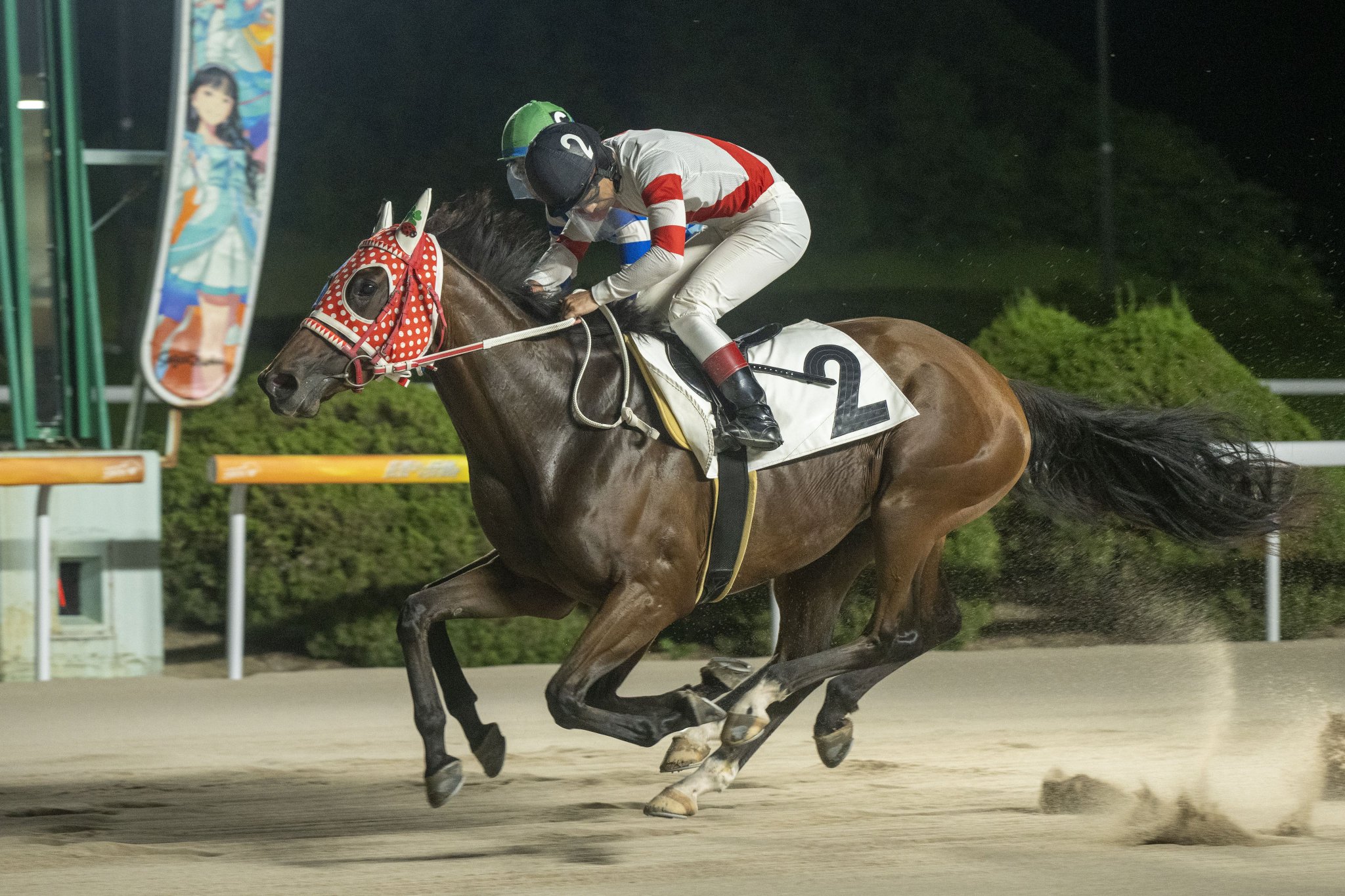 ソニーエンジェル　年賀状　馬　午　2014年　ウマ ソニーエンジェル 年賀状 馬 午 2014年 ウマ