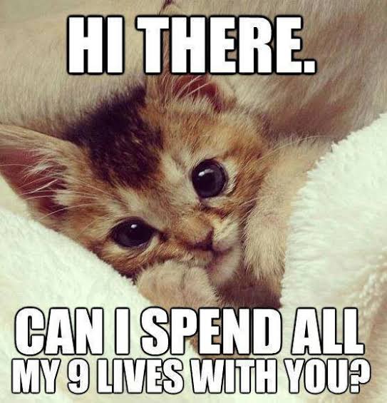 Ehn baby?