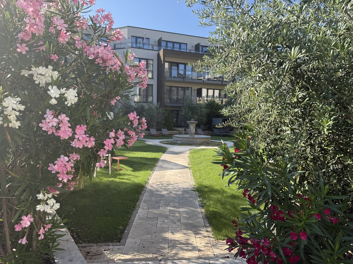 BadToxic's tweet photo. More of my #Hotel #VillaToskana in #Leimen, #Heidelberg, #Germany. (2/2)
#garden #bar #Villa #Toskana #SommerEvent #business #businessTrip #GeschäftsAusflug #Geschäftsreise #Italian #italienisch #Wellness #Spa #RheinNeckar #mediterran #mediteranian #stay https://t.co/hCJZnBODS8