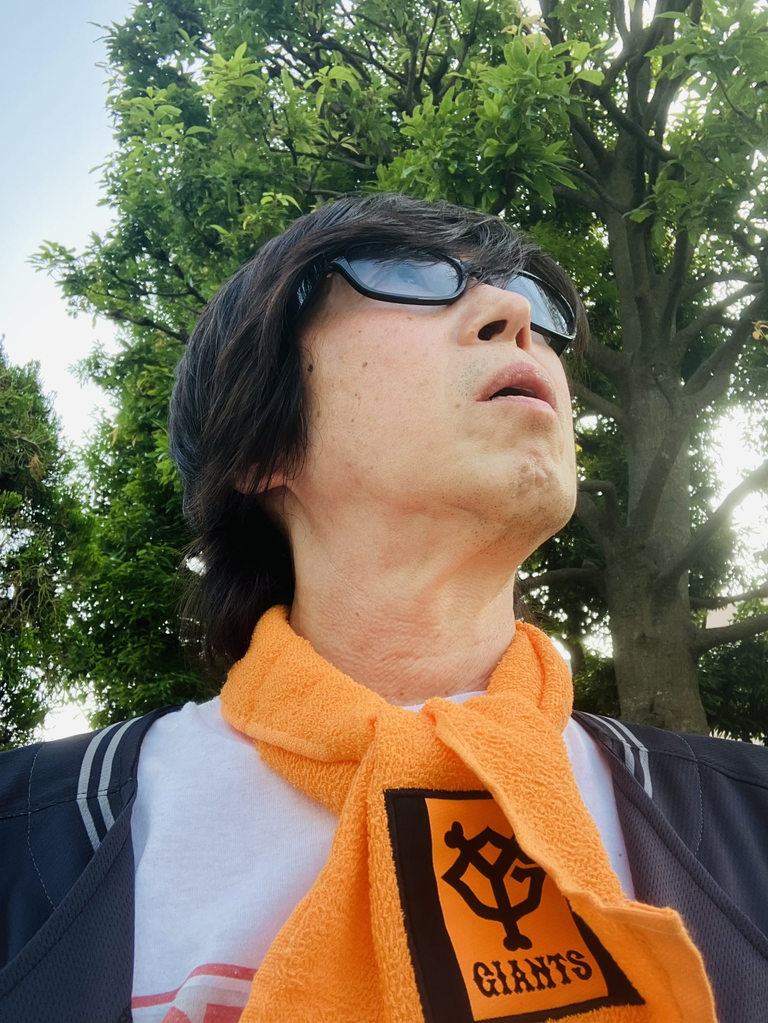 ろすページ Amazon.co.jp: ロックマン ゼクス (1) (BROS.COMICS EX) : おぎ