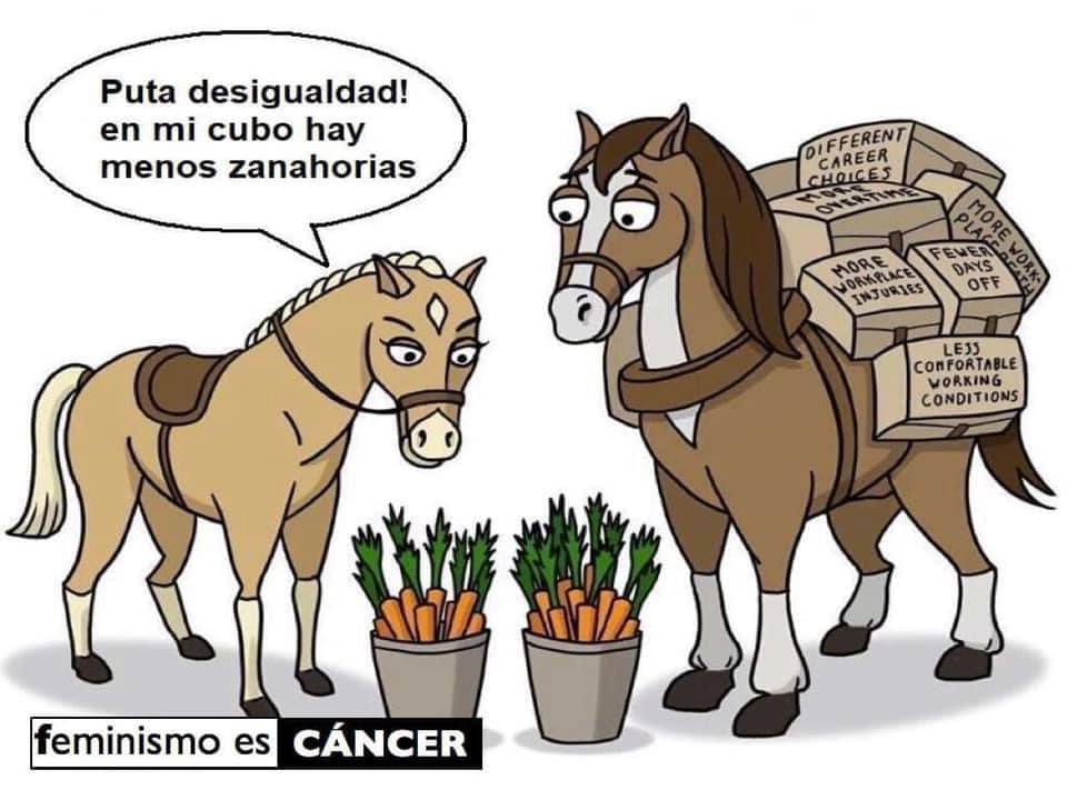 Entre Los Dos tweet media