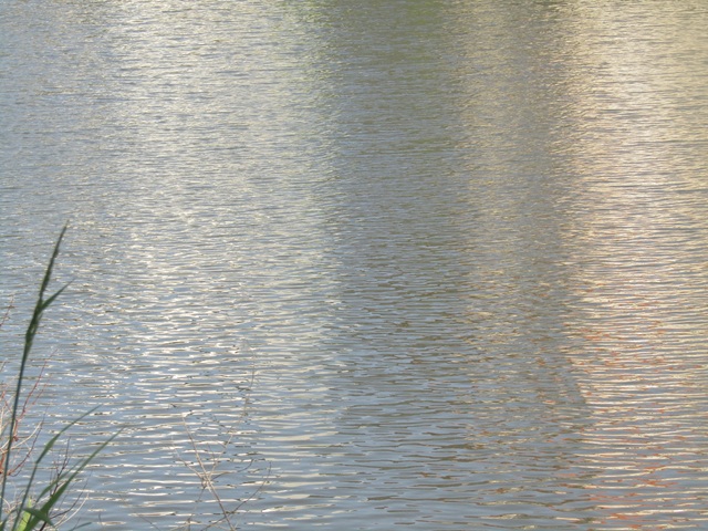 bloglezer's tweet image. Water weerspiegelt
mijn binnenste zonder schaamte
alles mag er zijn 
👉 catherineboone.blogspot.com/2025/07/water-… 
#Reflecties #Rust #Intuïtie #Mindfulness #Gevoeligheid #Heling #Loslaten #Water #Waterphotography #NaturePhotography #NatureBeauty #writerscommunity #NatureInspired #HSP #Reflection