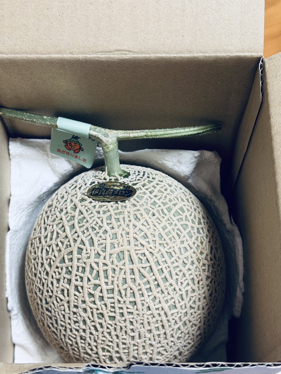 TSテックさんから株主優待が届きました😊
