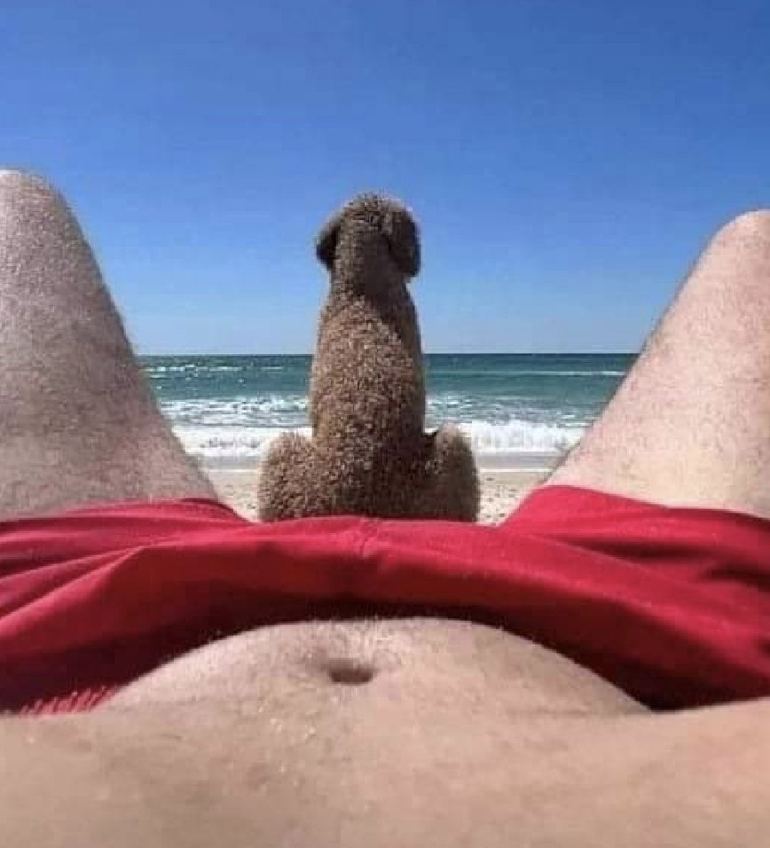 Perfektes Wetter für einen Tag am Meer. Dem Hund gefällt es auch.