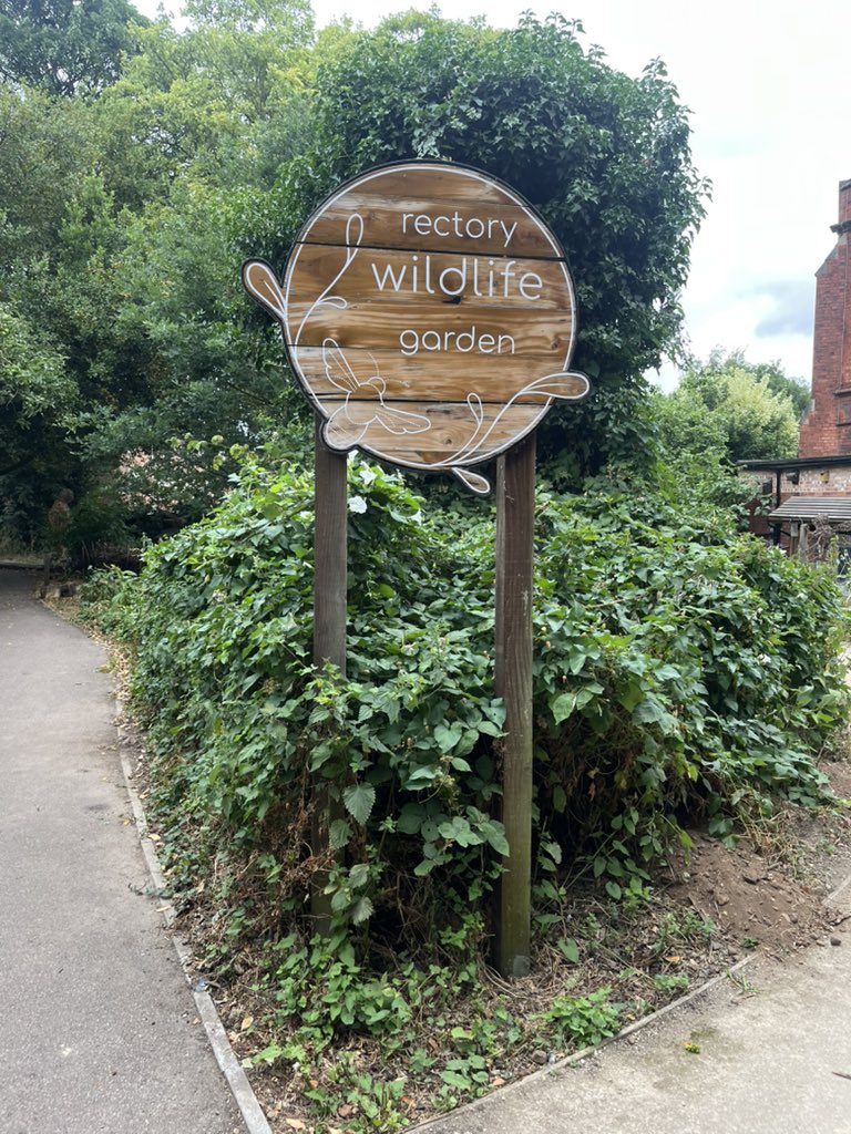 Saturday morning thought: we rarely explore our homes like tourists, which means we miss out on local gems. 

Today, I arrived 10 mins early for an appointment, so took a little stroll and discovered a beautiful little public wildlife garden.