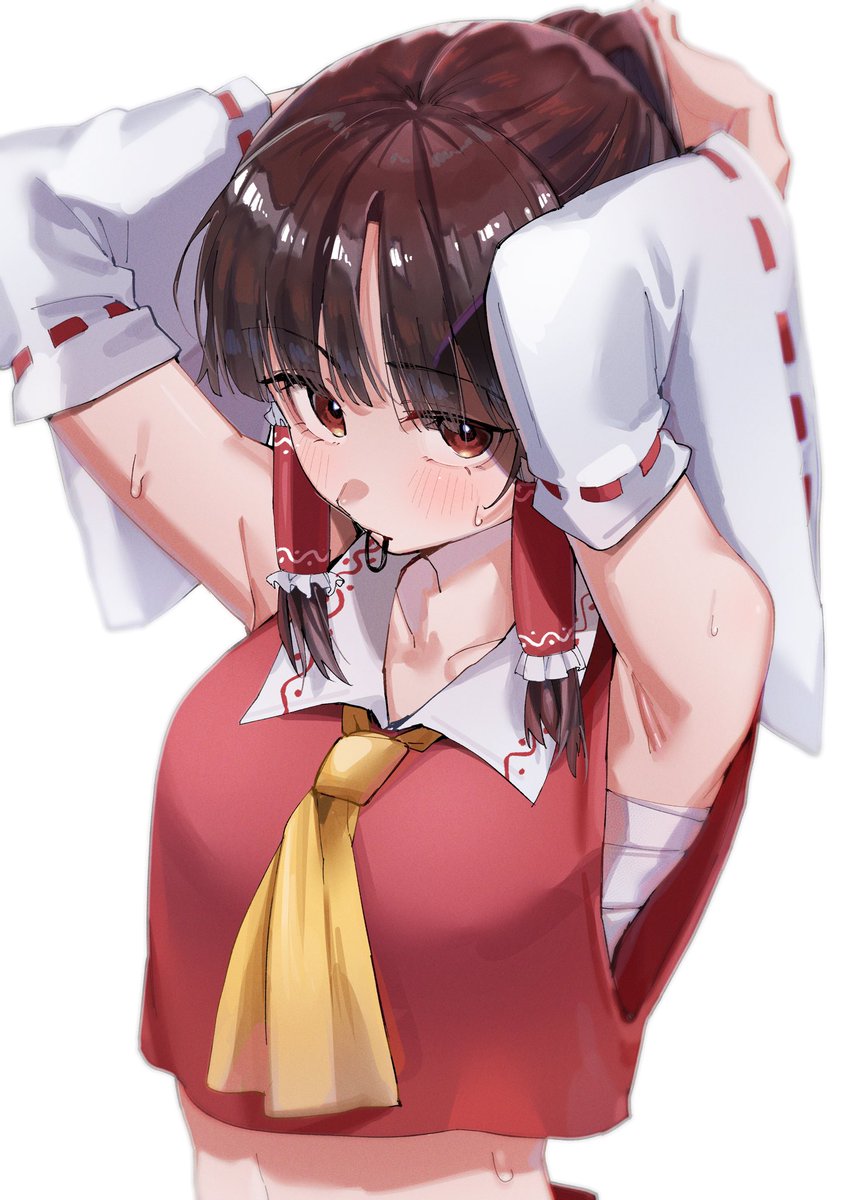 博麗の巫女
#東方Project