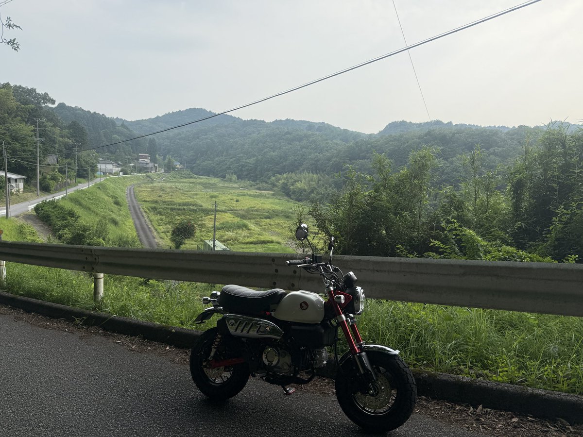 TwelveSk's tweet photo. モンキー散歩 https://t.co/hiSktdsbWE