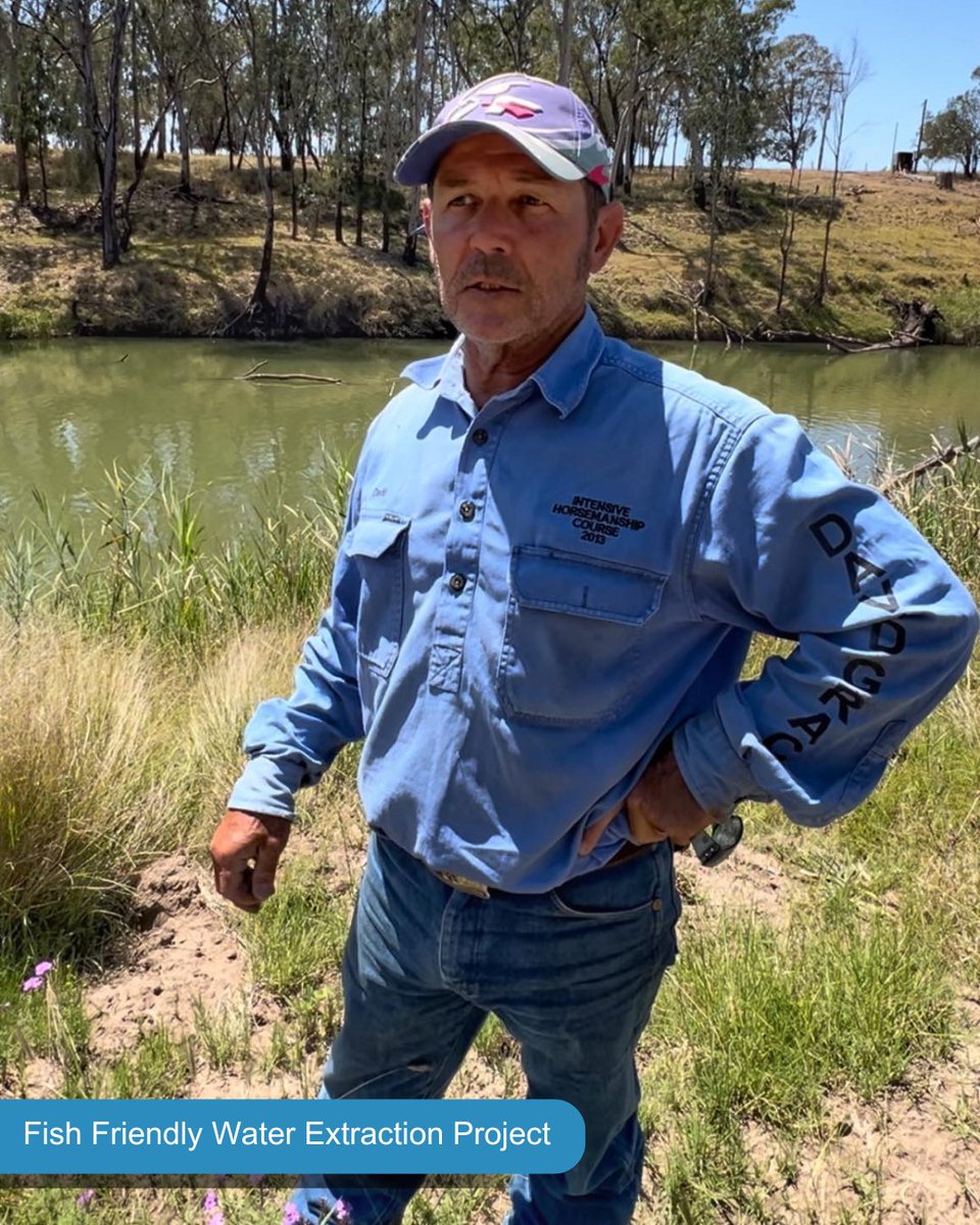 SQLandscapes's tweet image. 💧“It’s not just theory—it’s real-world results.”
Farmer David Grace says the Fish Friendly Water Extraction (Qld) Project is a smart investment for both ag and environment.
✅ Protects fish
✅ Boosts efficiency
#ProtectOurFish #HealthyRivers #SustainableFarming #AusGov #WaterQld
