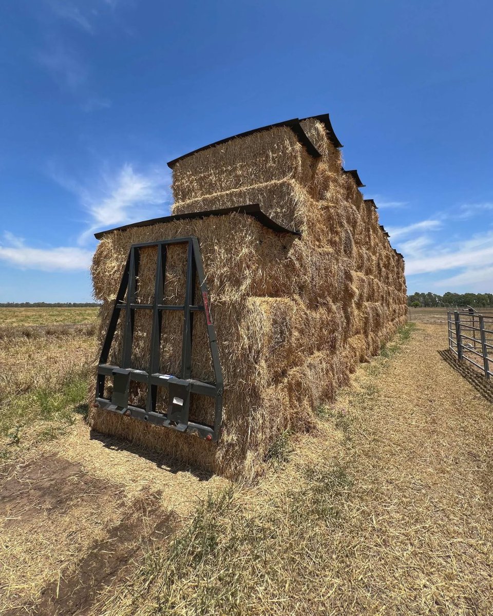 SQLandscapes's tweet image. 💧“It’s not just theory—it’s real-world results.”
Farmer David Grace says the Fish Friendly Water Extraction (Qld) Project is a smart investment for both ag and environment.
✅ Protects fish
✅ Boosts efficiency
#ProtectOurFish #HealthyRivers #SustainableFarming #AusGov #WaterQld