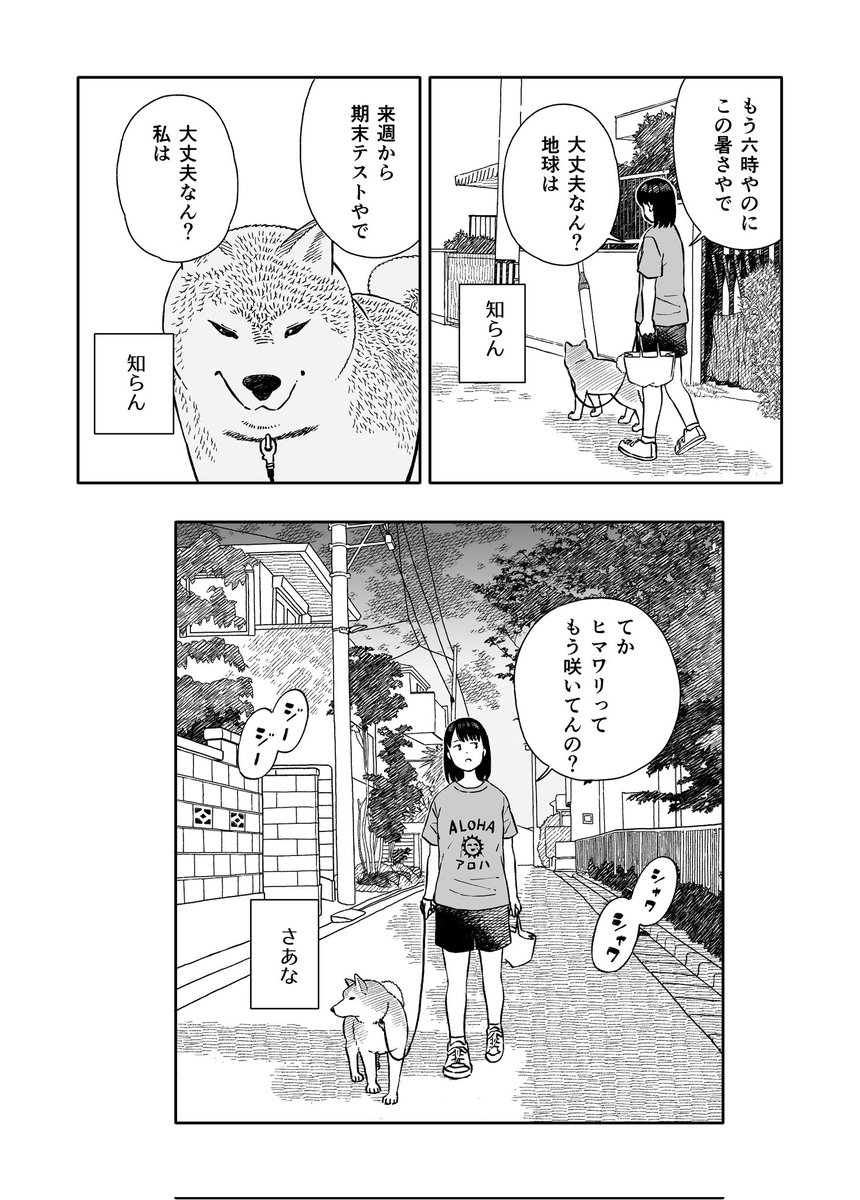 今日のさんぽんた 245     2/2 