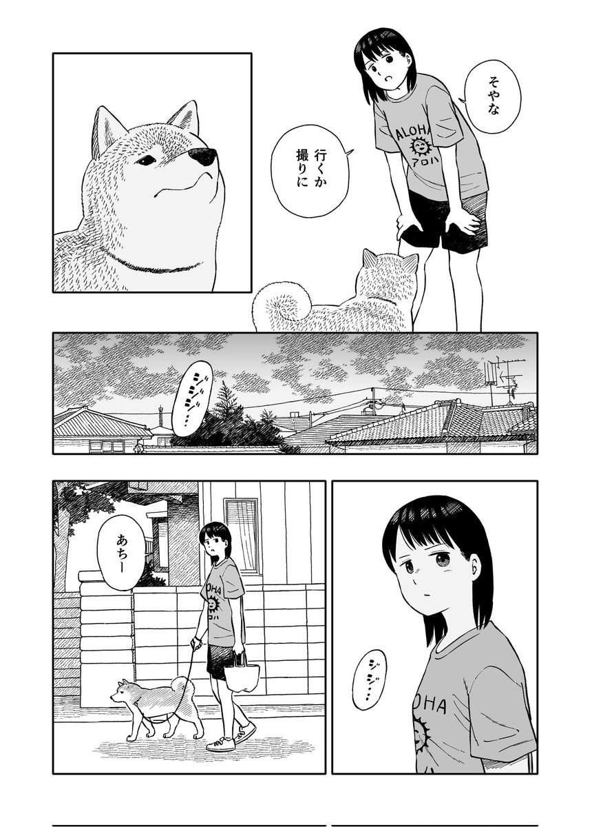 今日のさんぽんた 245     2/2 