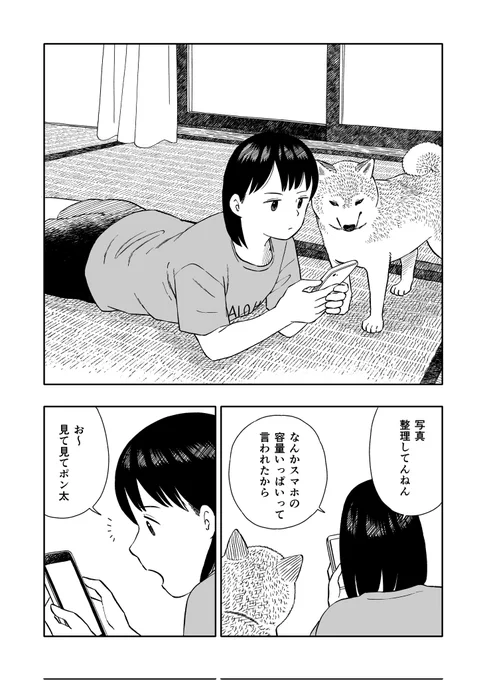 今日のさんぽんた245     1/2 