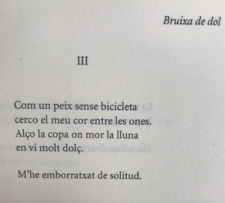 Maria-Mercè Marçal (Barcelona 13/11/1952 - †5/07/1998