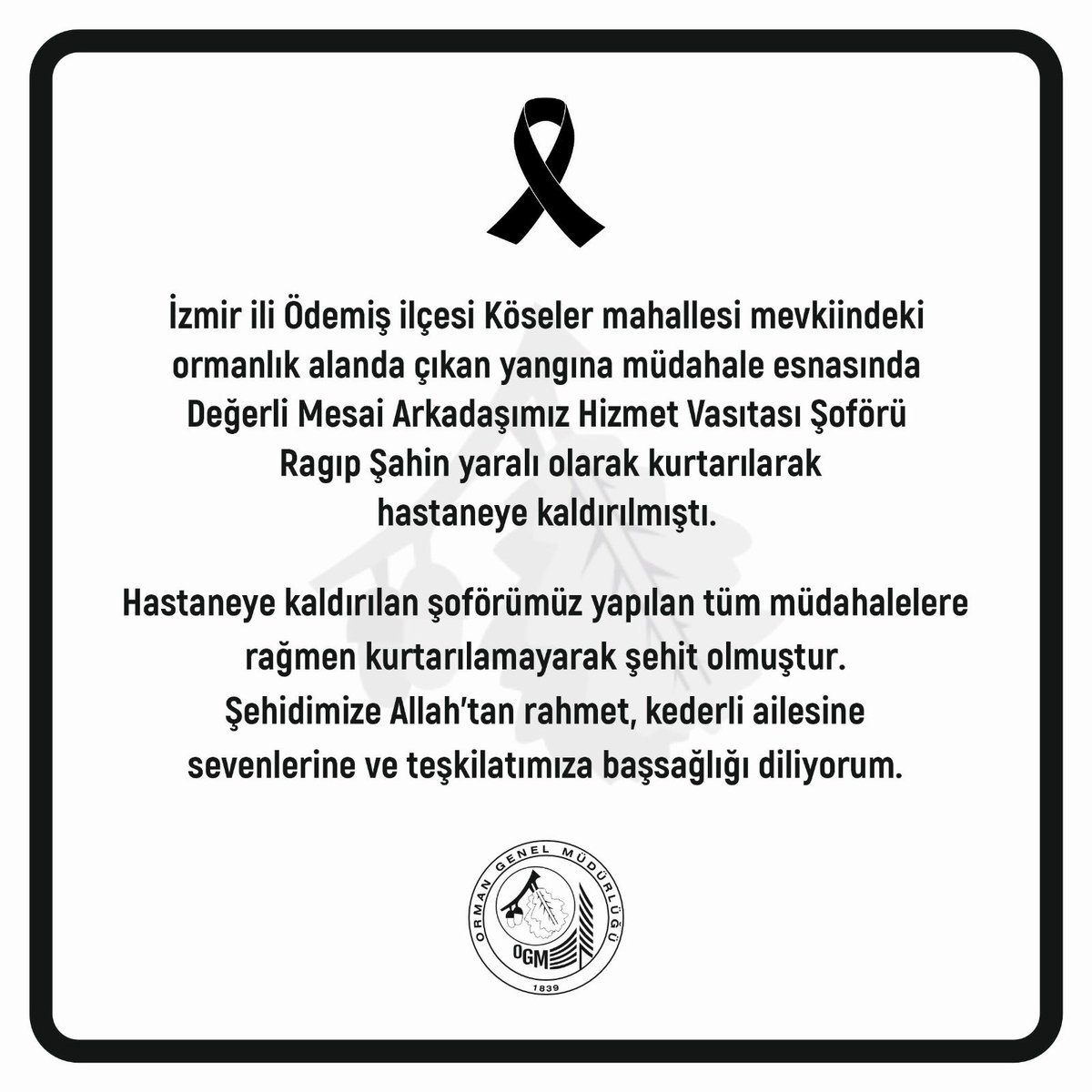 Bekir KARACABEY (@bekirkaracabey_) on Twitter photo 