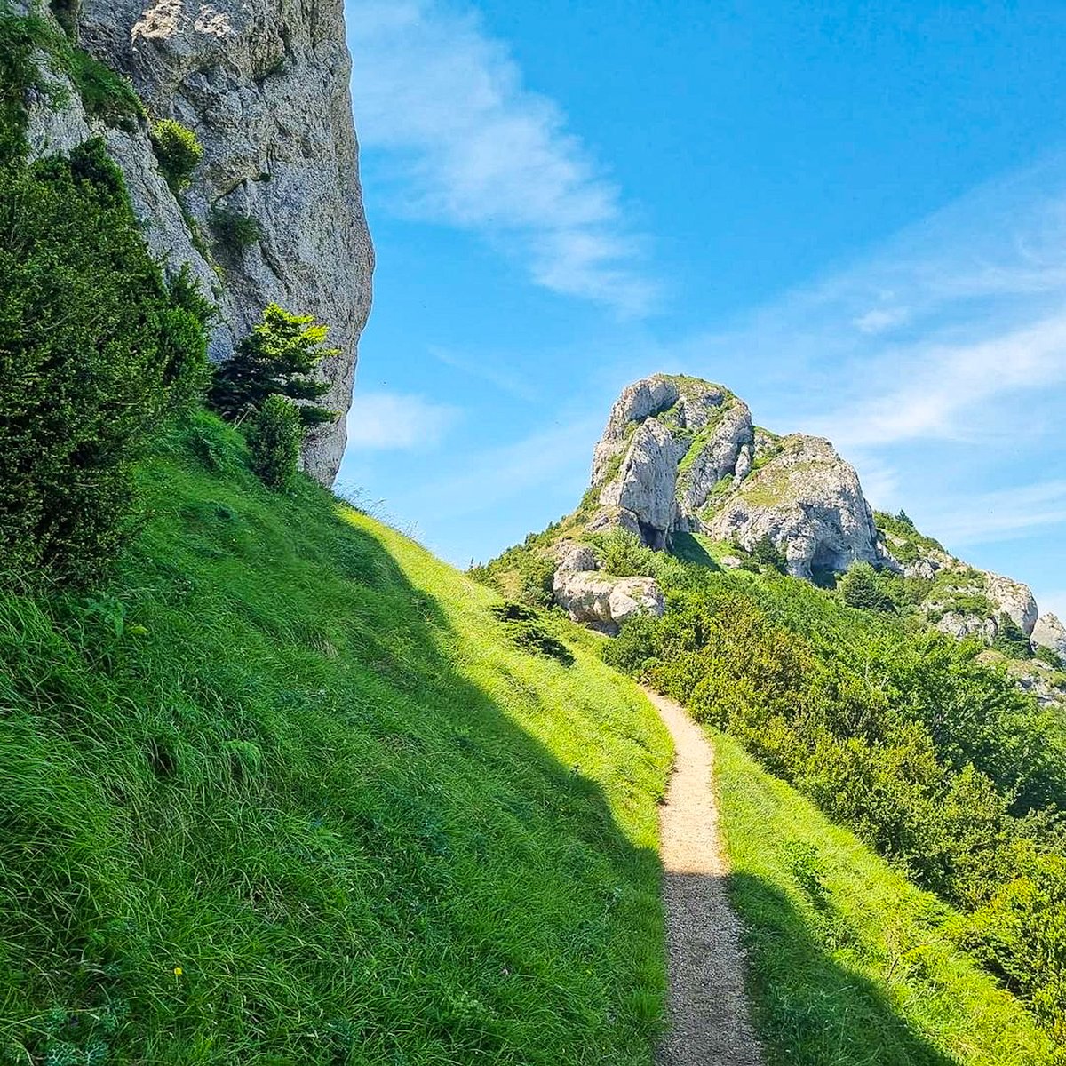 Álava Turismo (@turismoalava) on Twitter photo ¿Conoces esta ruta en la Sierra de Cantabria? Se trata de una de las zonas más emblemáticas, la subida a San Tirso🏔
Ezagutzen duzu ibilbide hau Kantabriako mendilerroan? San Tirsorako igoera, zonalde enblematikoenetako bat da 🏔
📍<a href="/mendialdeatour/">Turismo Arabako Mendialdea / Montaña Alavesa</a>
📸 patxioliva ¿Conoces esta ruta en la Sierra de Cantabria? Se trata de una de las zonas más emblemáticas, la subida a San Tirso🏔
Ezagutzen duzu ibilbide hau Kantabriako mendilerroan? San Tirsorako igoera, zonalde enblematikoenetako bat da 🏔
📍<a href="/mendialdeatour/">Turismo Arabako Mendialdea / Montaña Alavesa</a>
📸 patxioliva