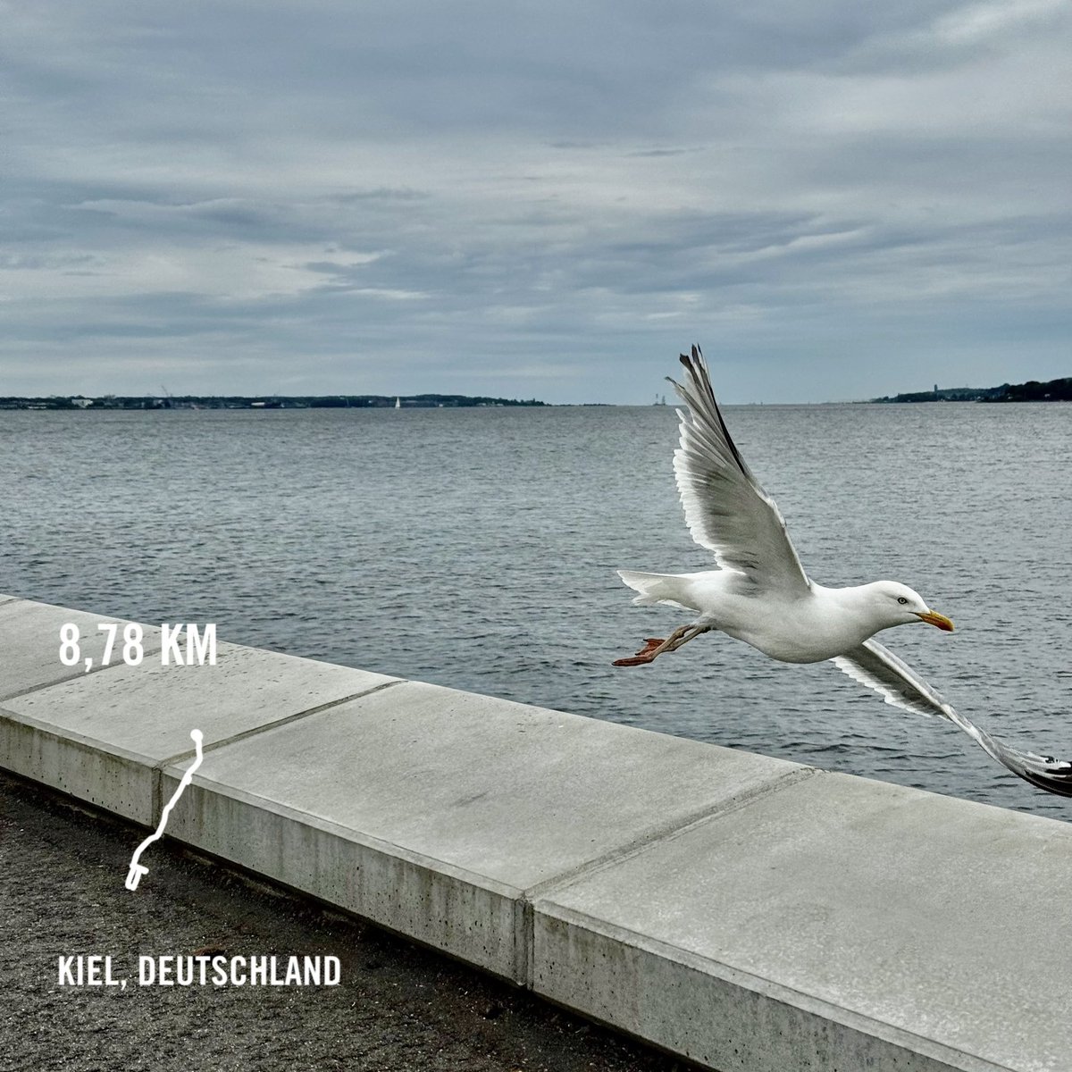 Moin #Kiel. 🏃🏼‍♂️