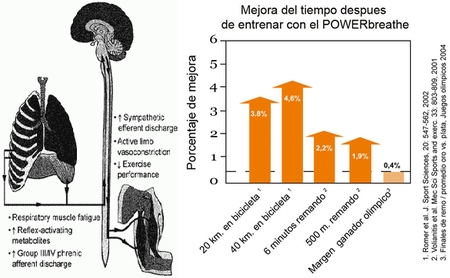 🫁 Los músculos respiratorios durante el ejercicio también necesitan sangre para contraerse…

Tu corazón reparte recursos al que peor lo esté pasando.

Hasta el 16% del gasto cardíaco puede irse en ventilar.

😷 Entrénalos o tus pulmones acabarán asfixiando tus propias piernas.