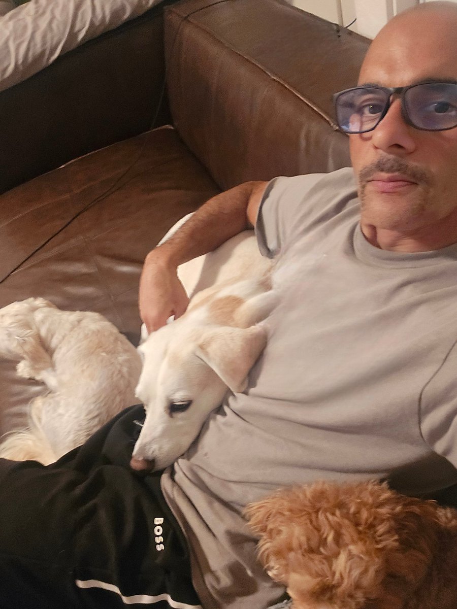 Dog daddy patrol on the 4th of July.  Waiting impatiently for the fireworks to stop happy Independence day 🎇