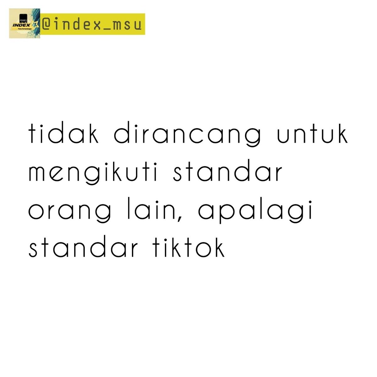 A L C H E 💫 tweet media