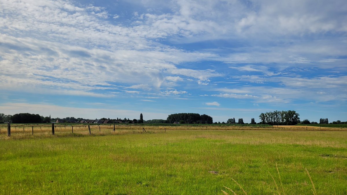 RobinALFLEO's tweet photo. 9u53 Erpe
#vrtweer #erpe #erpemere https://t.co/Y8cZGsorCr