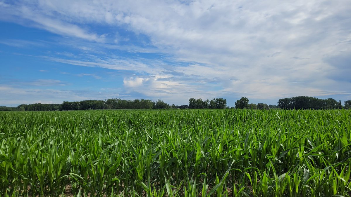 RobinALFLEO's tweet photo. 9u53 Erpe
#vrtweer #erpe #erpemere https://t.co/Y8cZGsorCr
