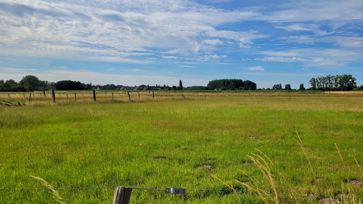 RobinALFLEO's tweet photo. 9u53 Erpe
#vrtweer #erpe #erpemere https://t.co/Y8cZGsorCr
